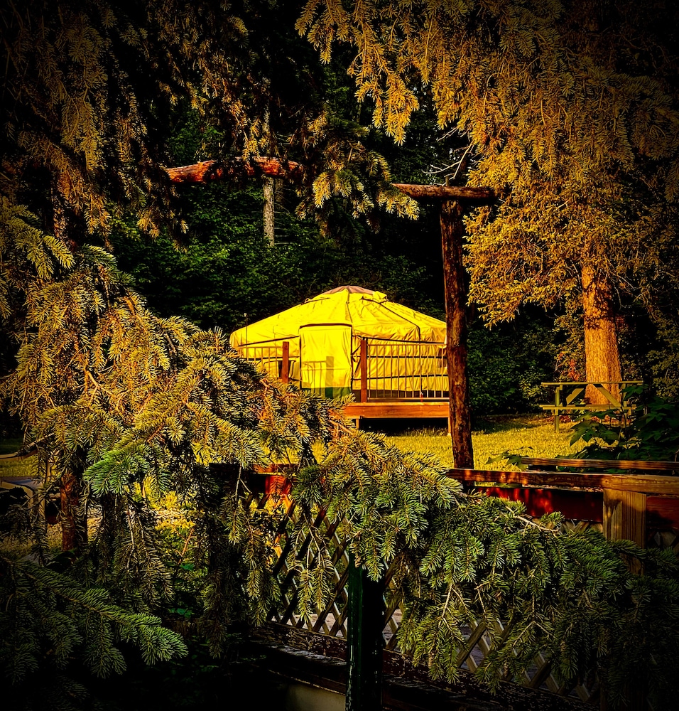 Whitetail Creek Camping Resort view 3