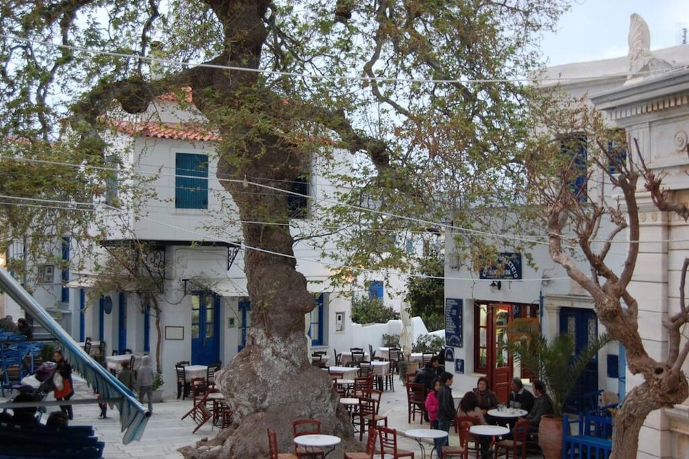 Tinos Experience the House