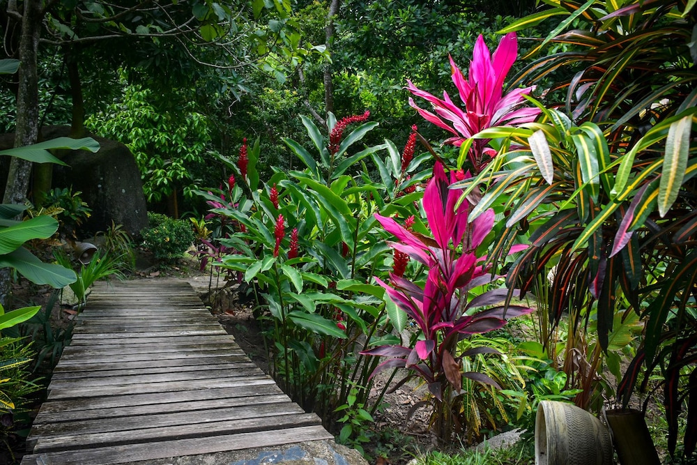 Ecohabs Bosques del Tayrona