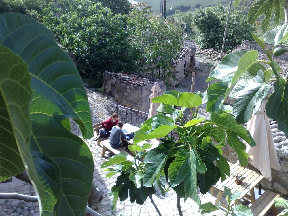 Photo 46