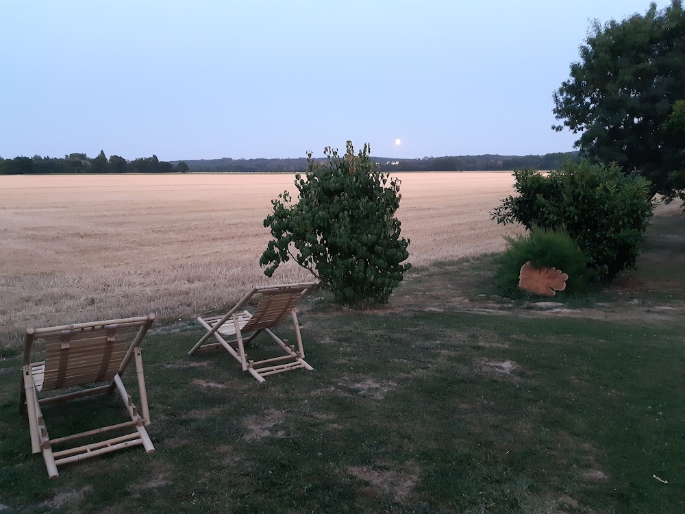 Photo 52