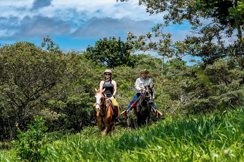 Rinconcito Lodge