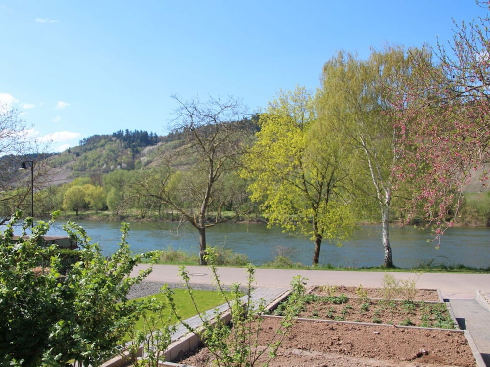 Riesling Apartment on the Moselle Terrace
