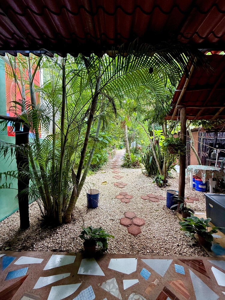 La Casa Del Arbol