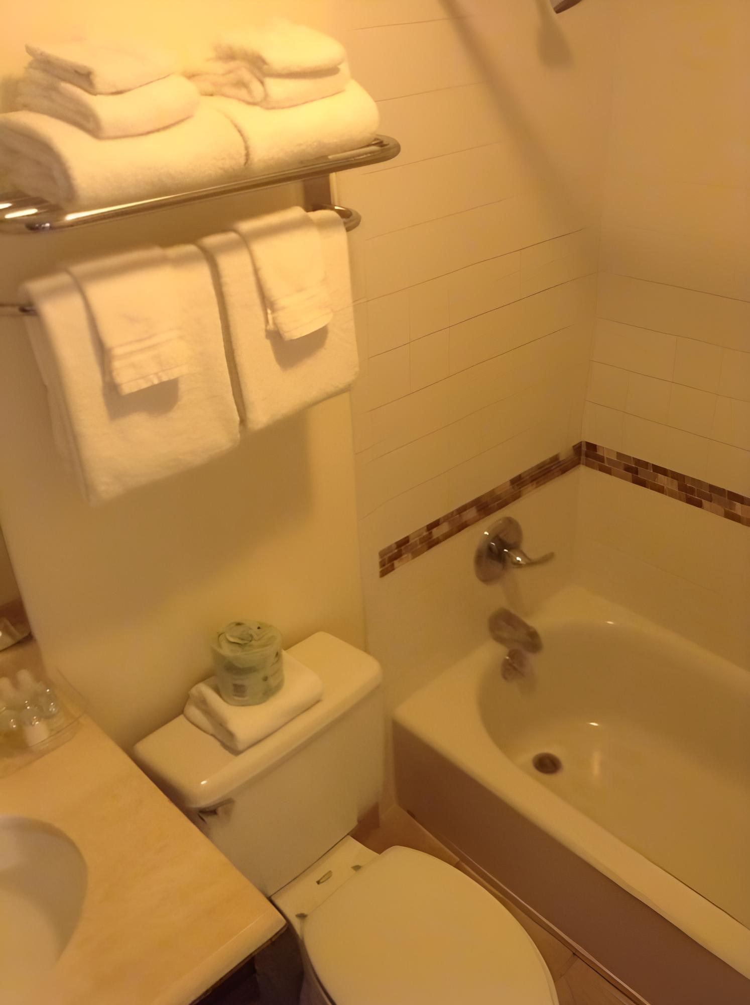 New Orleans Vacations - Prytania Park Hotel - Property Image 32