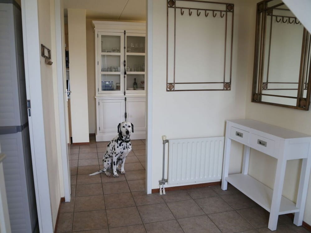 Villa "De Banjaard Zeeland" view 4