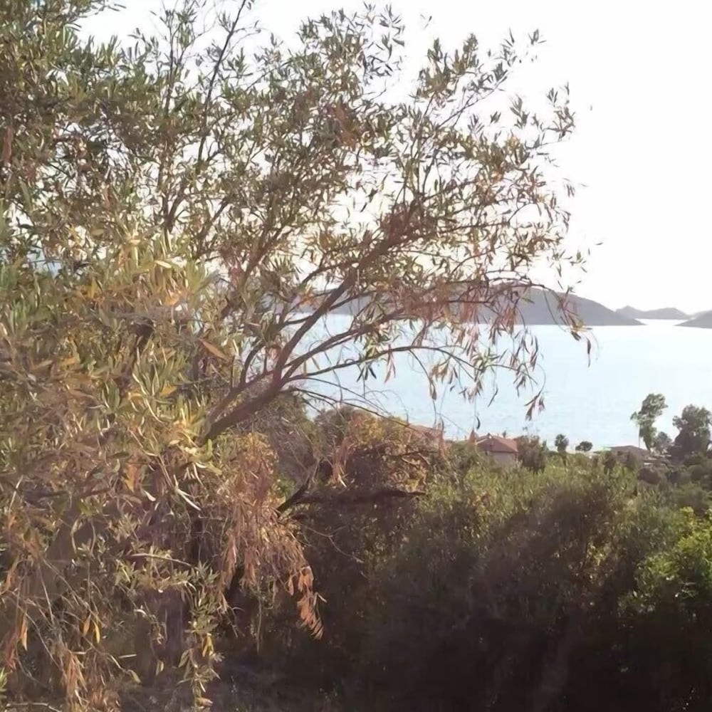 Veranda Saranda Apart view 3