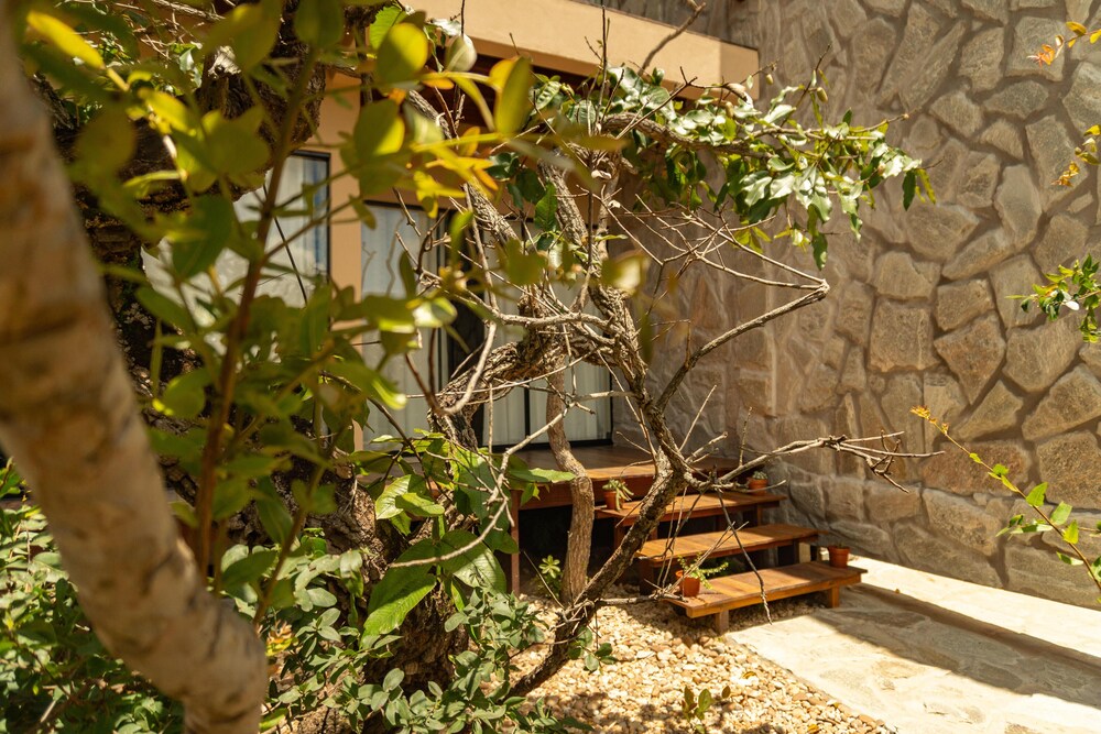 Lofts Lobo Guara