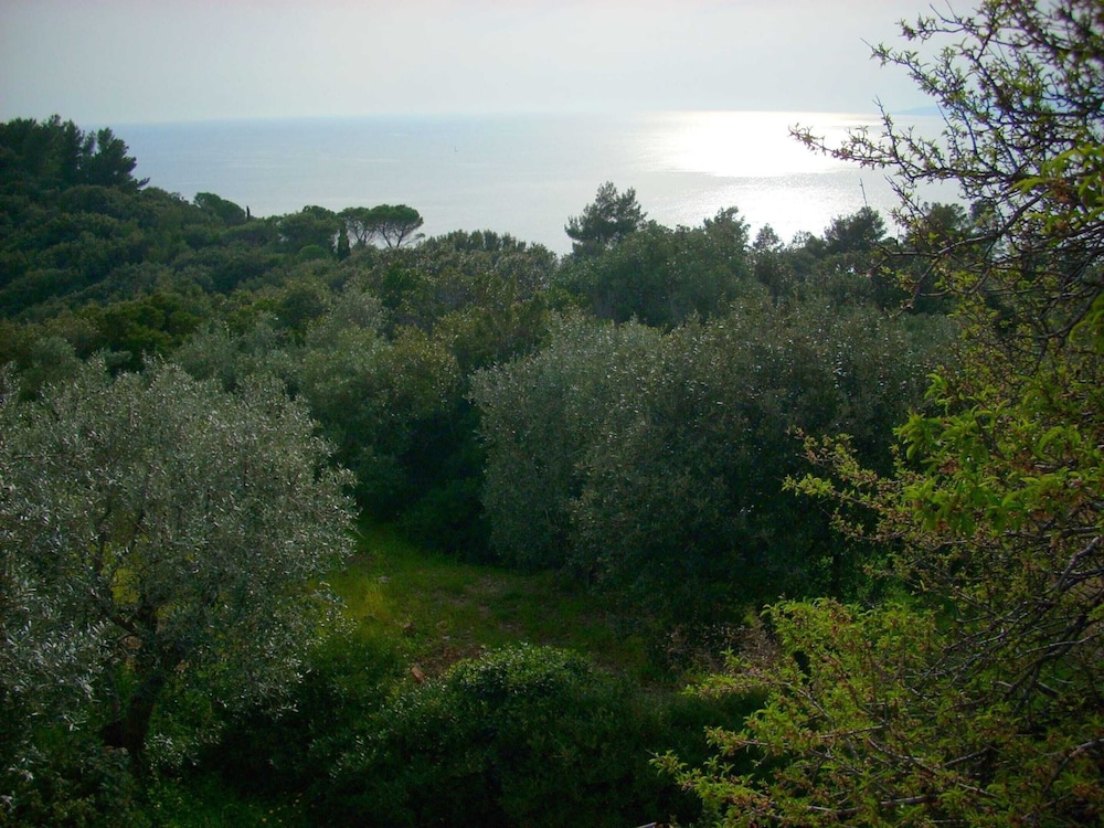 Photo 27