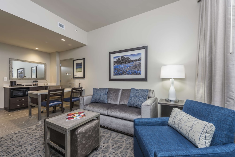 Embassy Suites by Hilton The Woodlands at Hughes Landing - Property Image 38