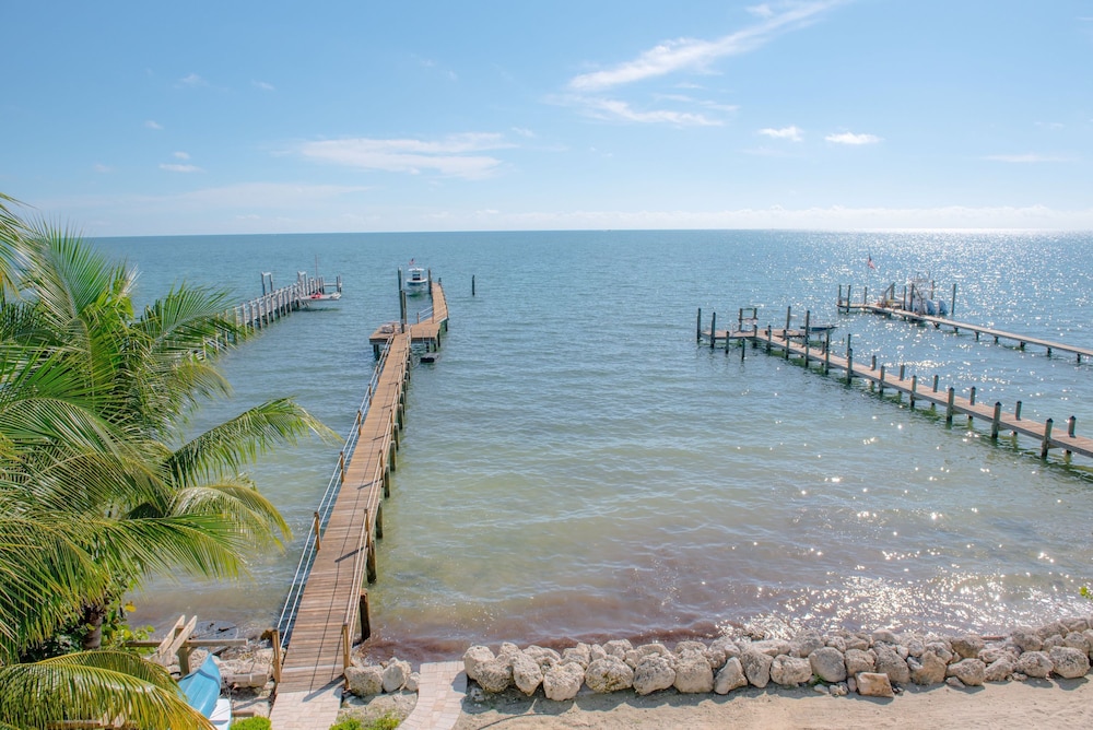 Midnight Runner in Islamorada