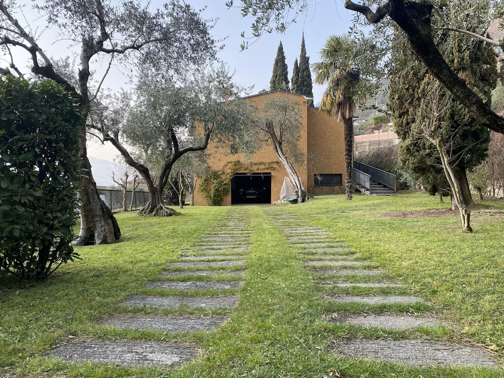 Photo 23