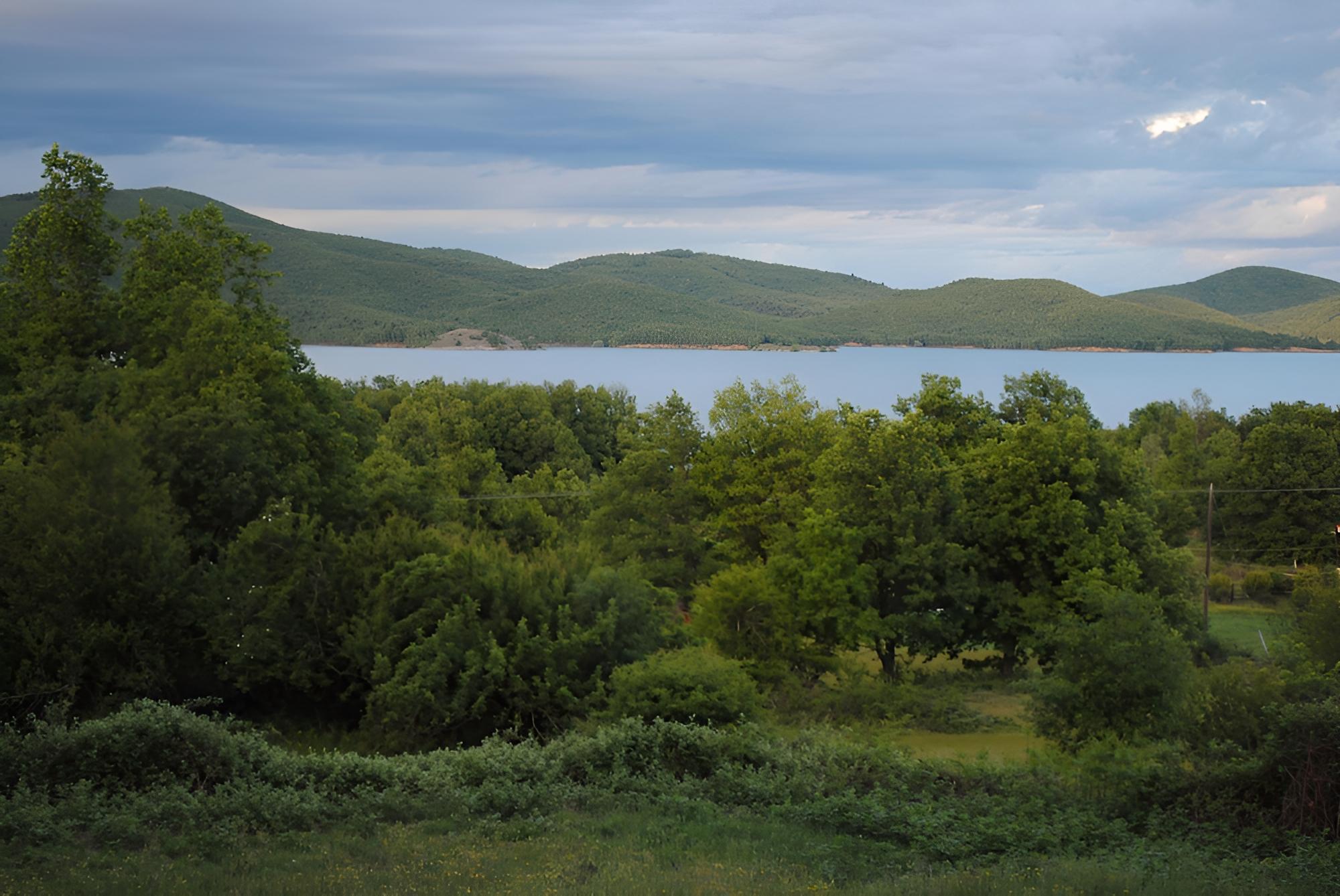 Photo 42
