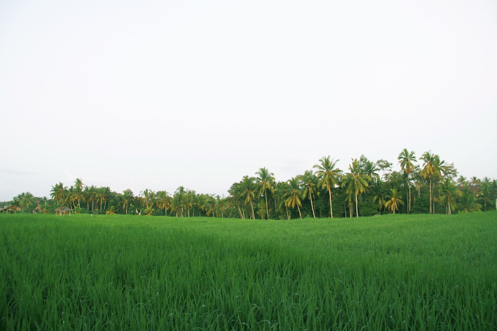 Greenfield Luxury Villas