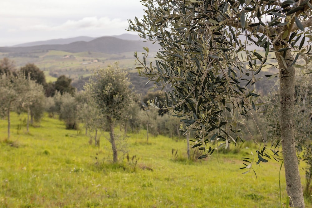 Casale Oleo