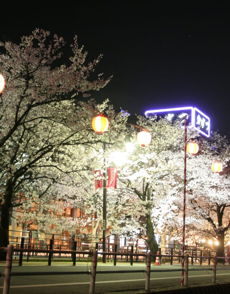 Meiseki No Yado Kagetsu