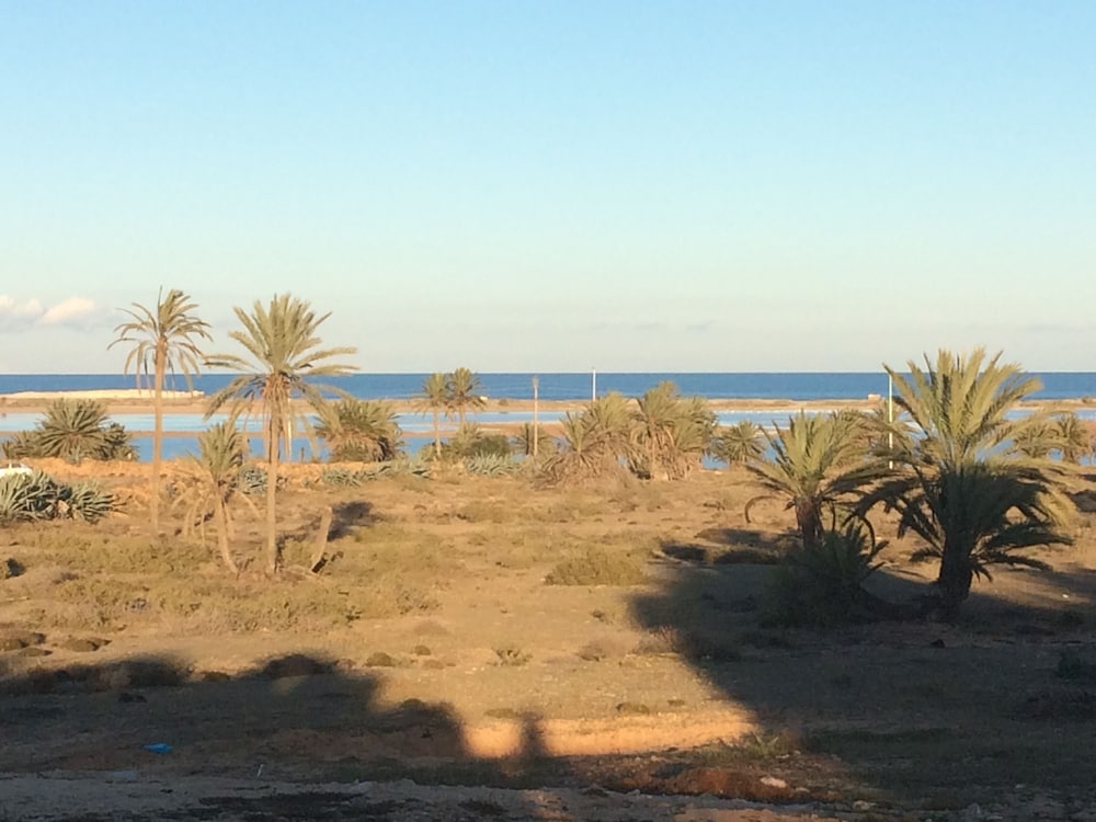 Aghir Vacations - Dar Jasmin Djerba - Property Image 5