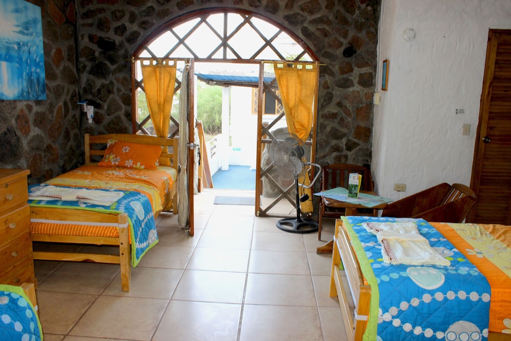 Galapagos Penguin Hostel
