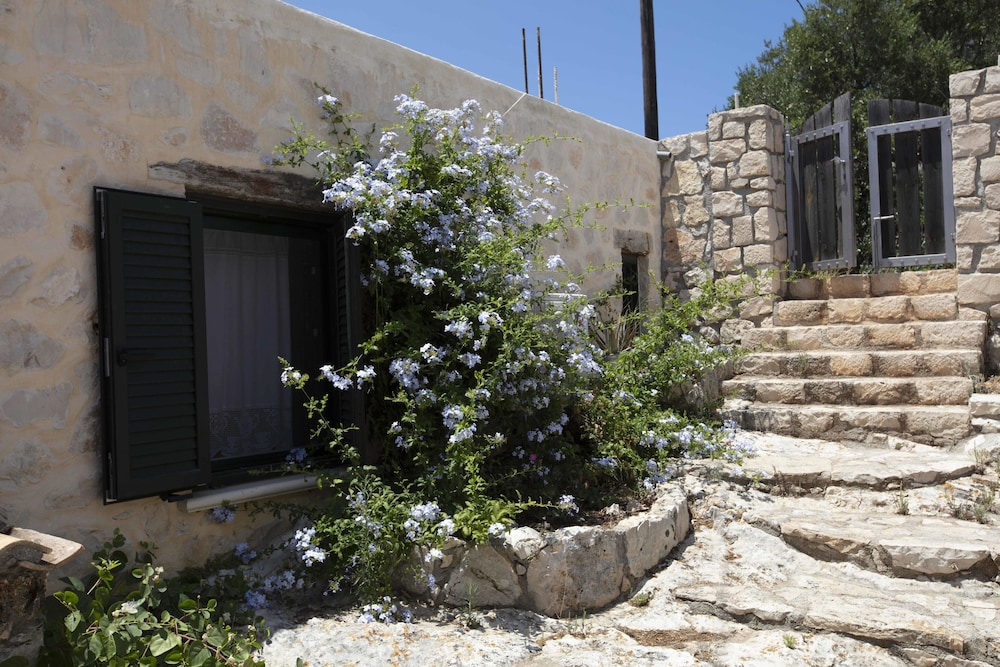 Anemos Studio