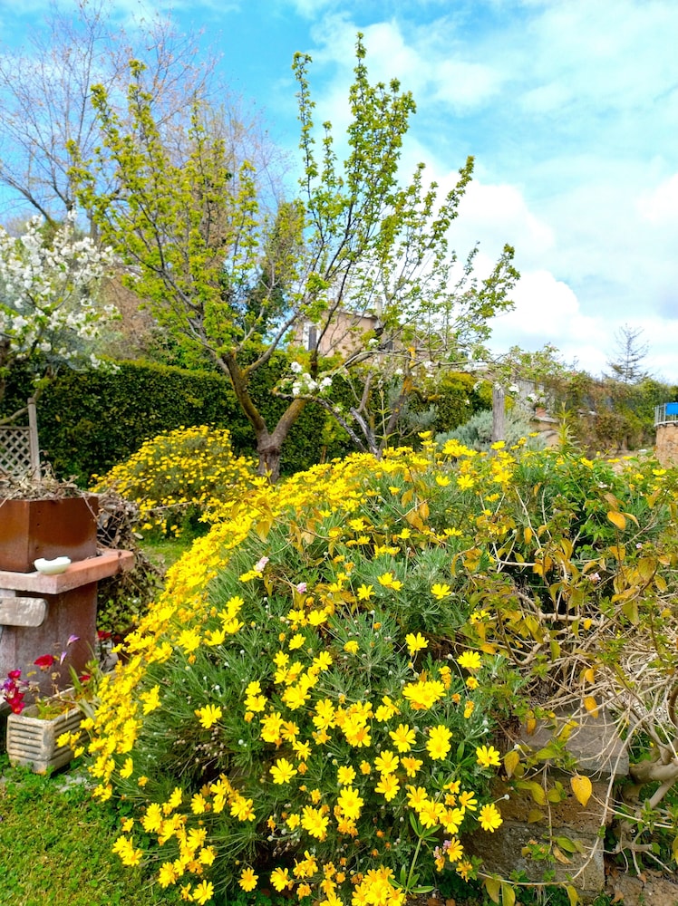 La Valle Dei Casali B&B