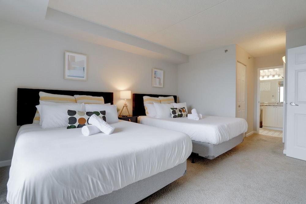 Spacious Apartment at Pentagon City