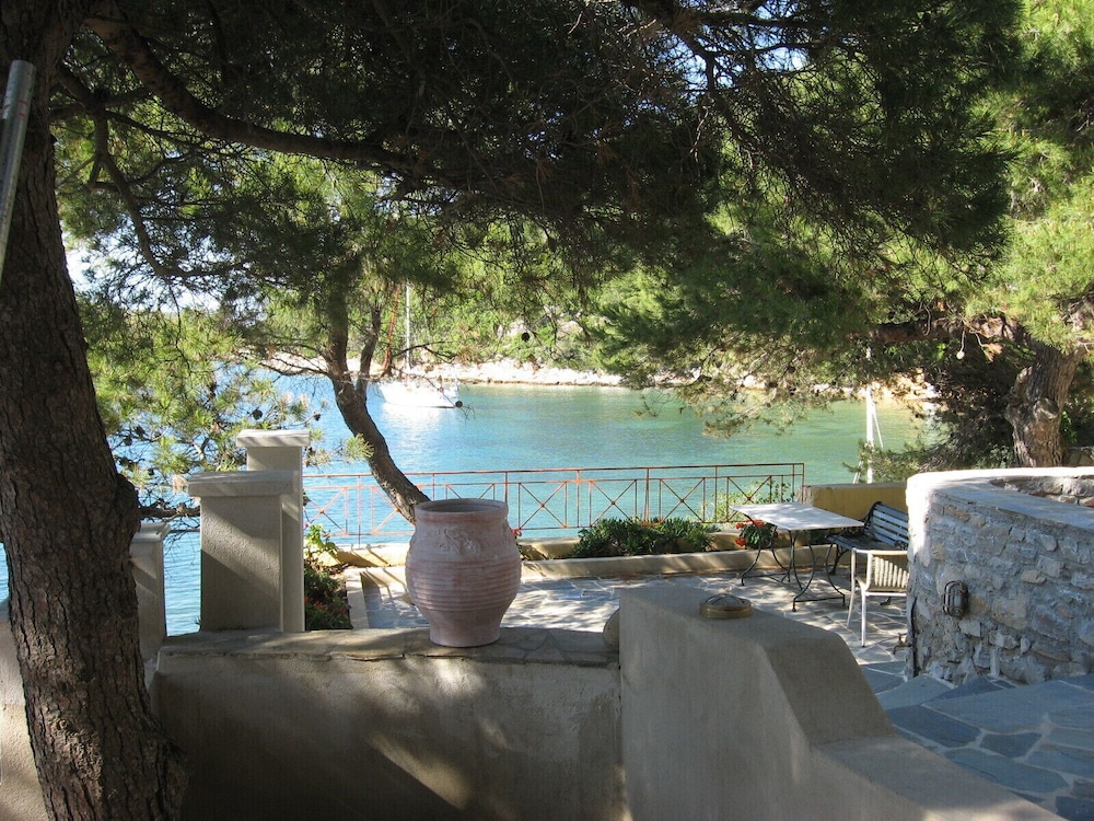 Photo 42