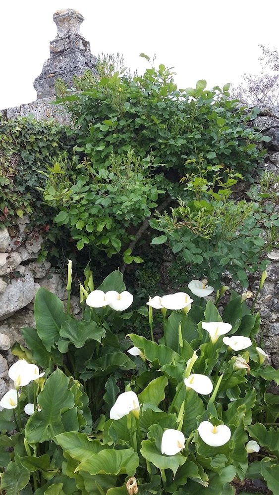Domaine de Puyrousse