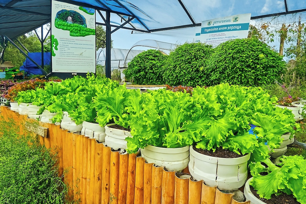 Greenheart Garden View Camp Phuket