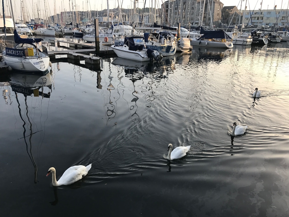 Freemans Wharf view 2