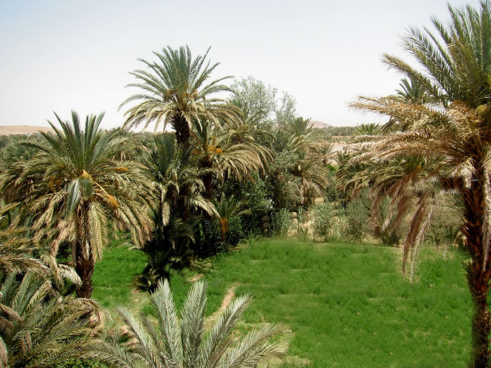 Riad Sarayas