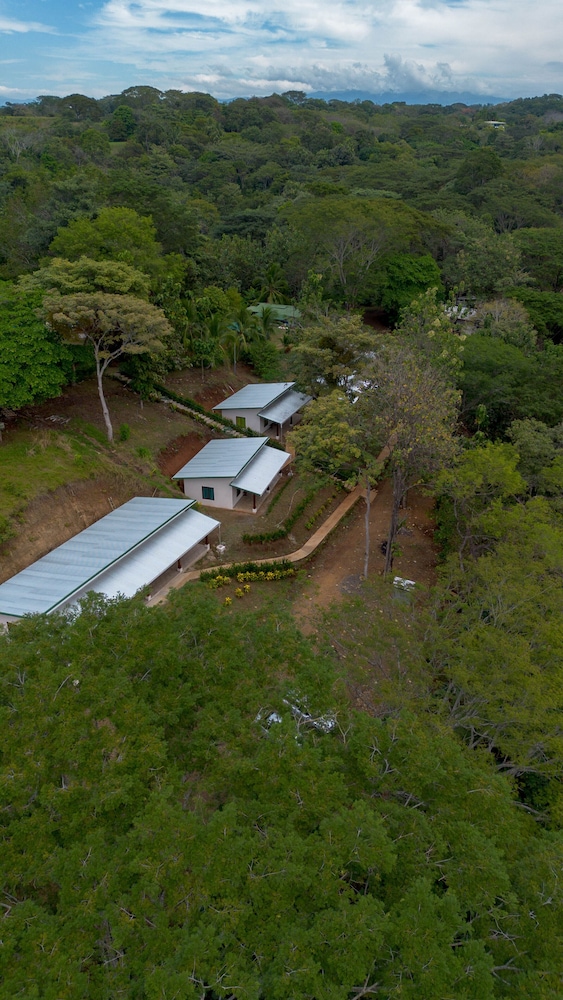Tarcoles Birding Lodge