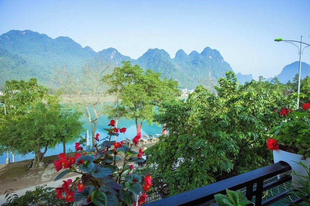 Phong Nha Homie Home
