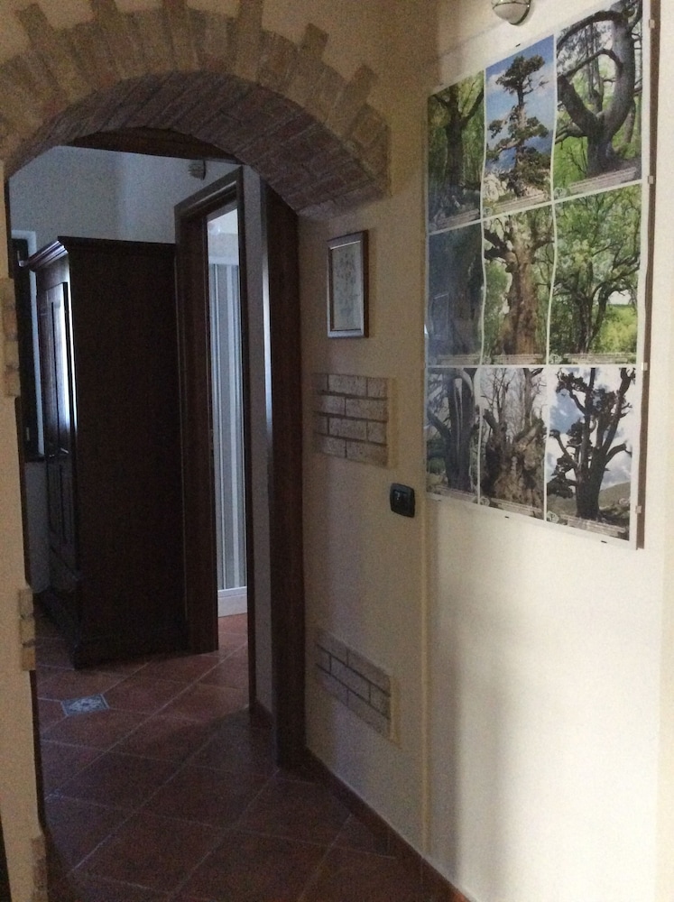 Photo 46