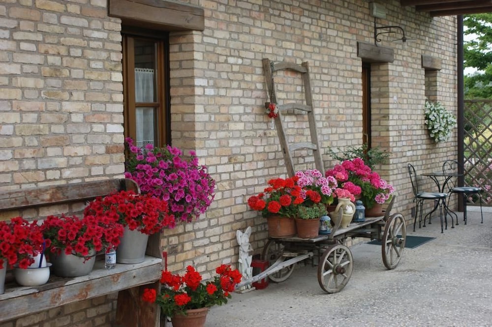 Alloggio Agrituristico Albafiorita