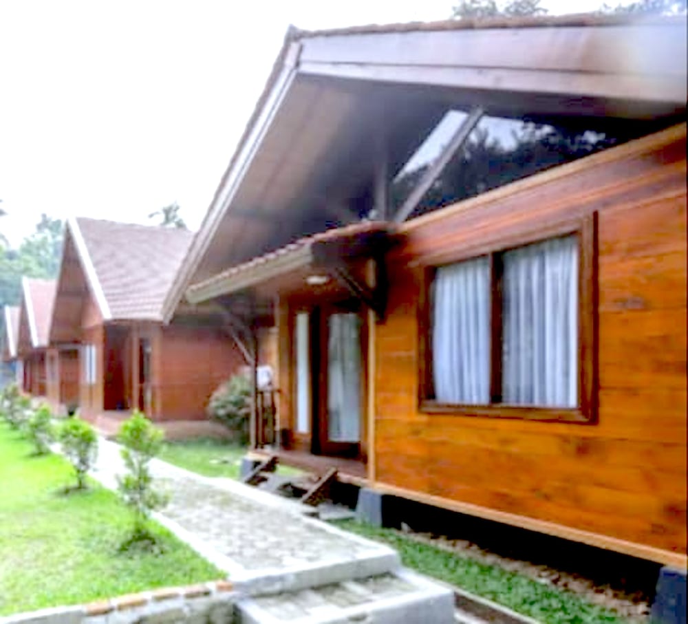 PAVO RESORT