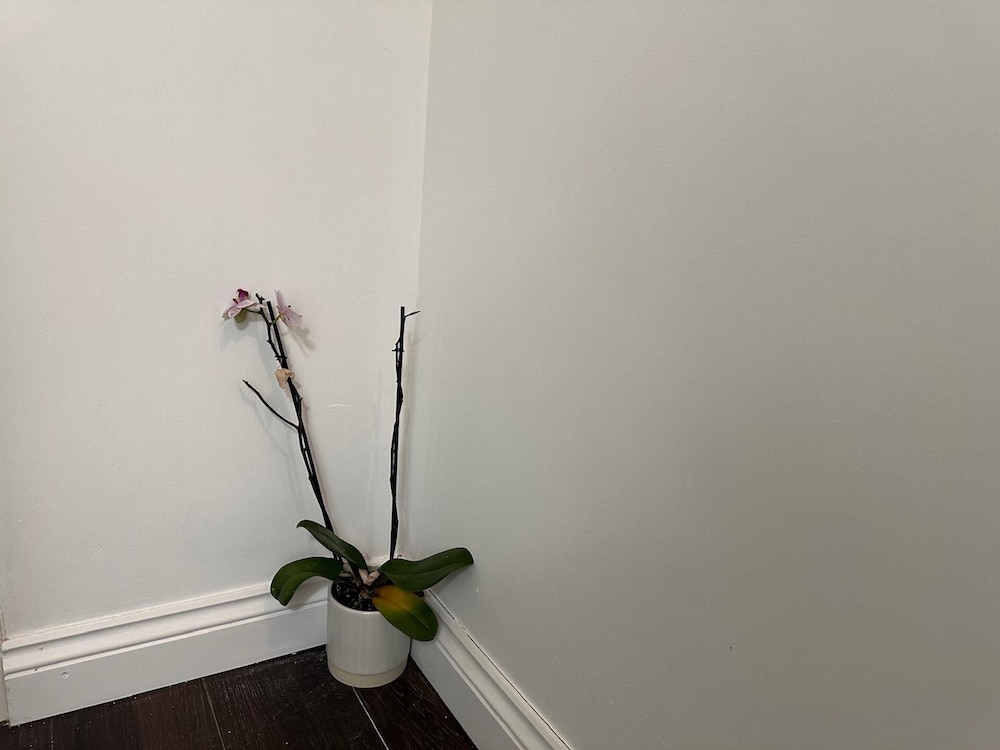 Stylish 1BR Apt w/ Fireplace & High-speed Wifi