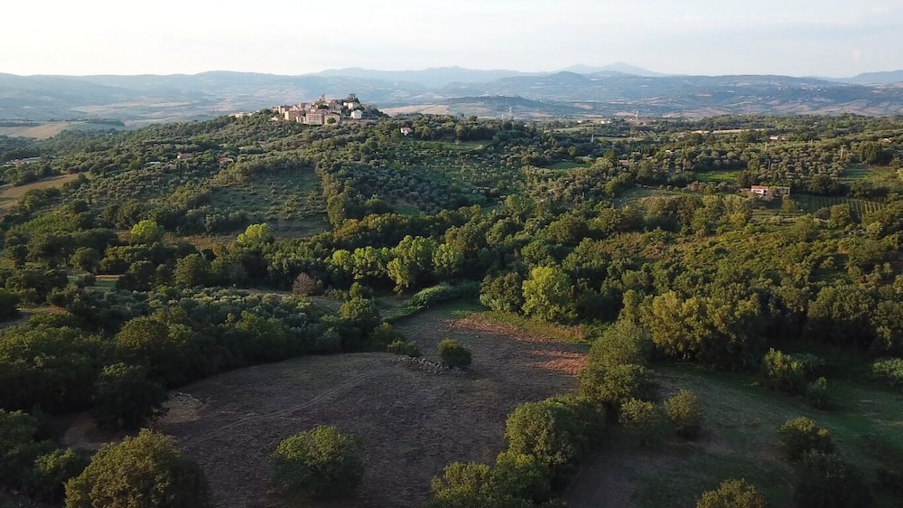 Photo 51