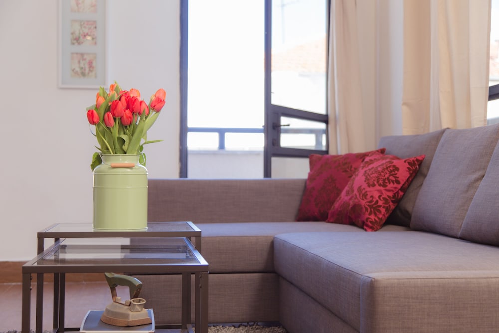 Shenkin Vilmar Apartments