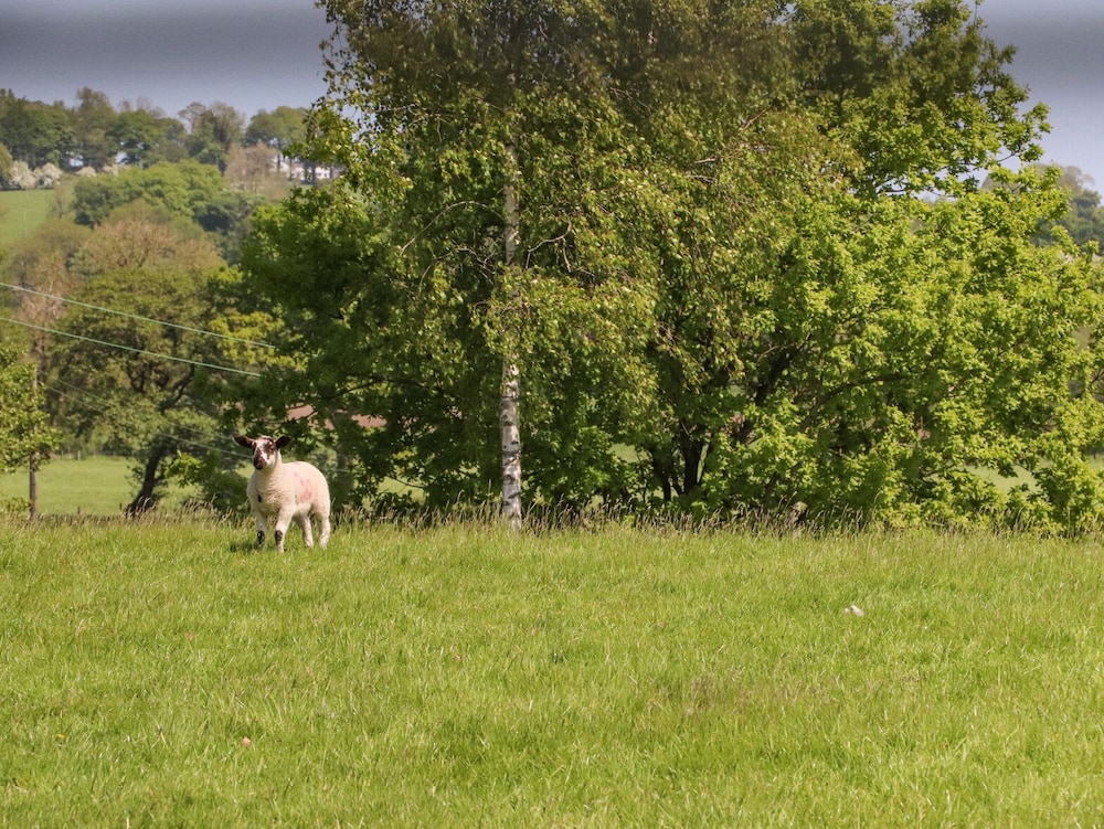 Skirden View