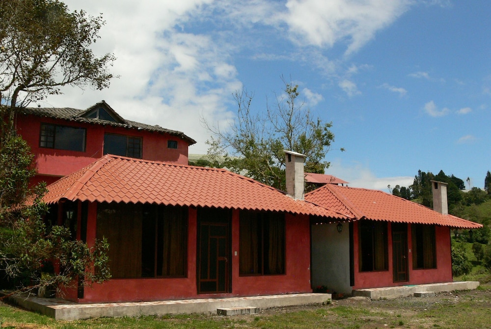 Rutun Orquídeas