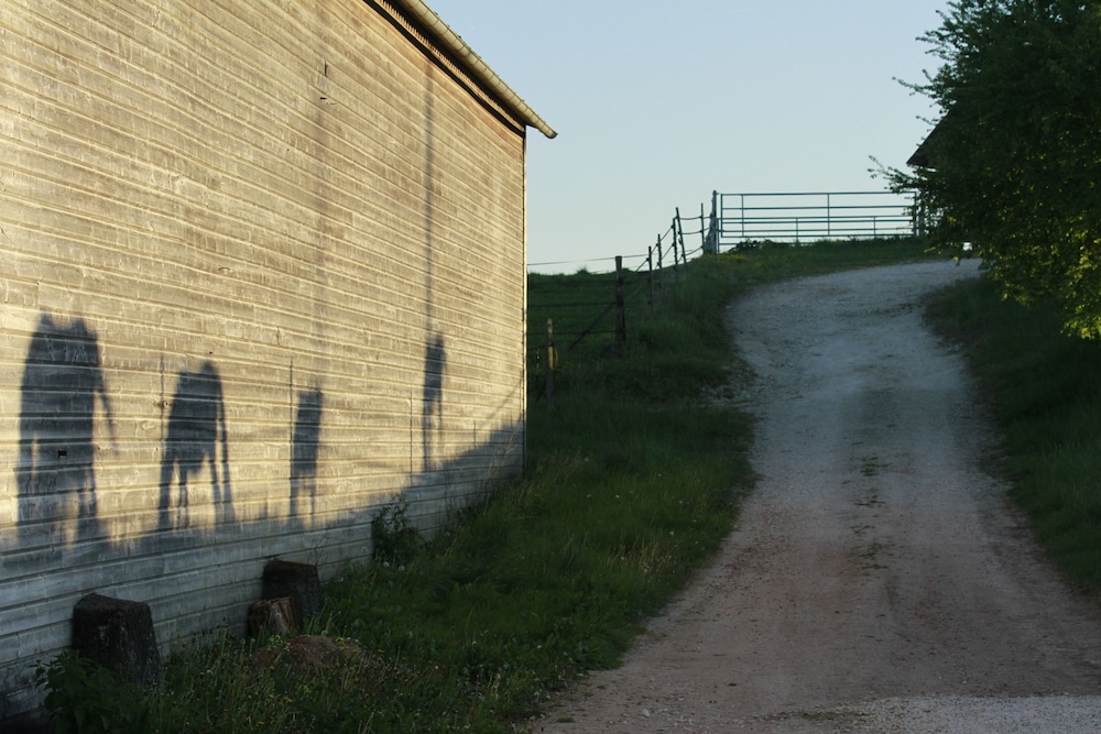 Les Deux Abbesses en Vert