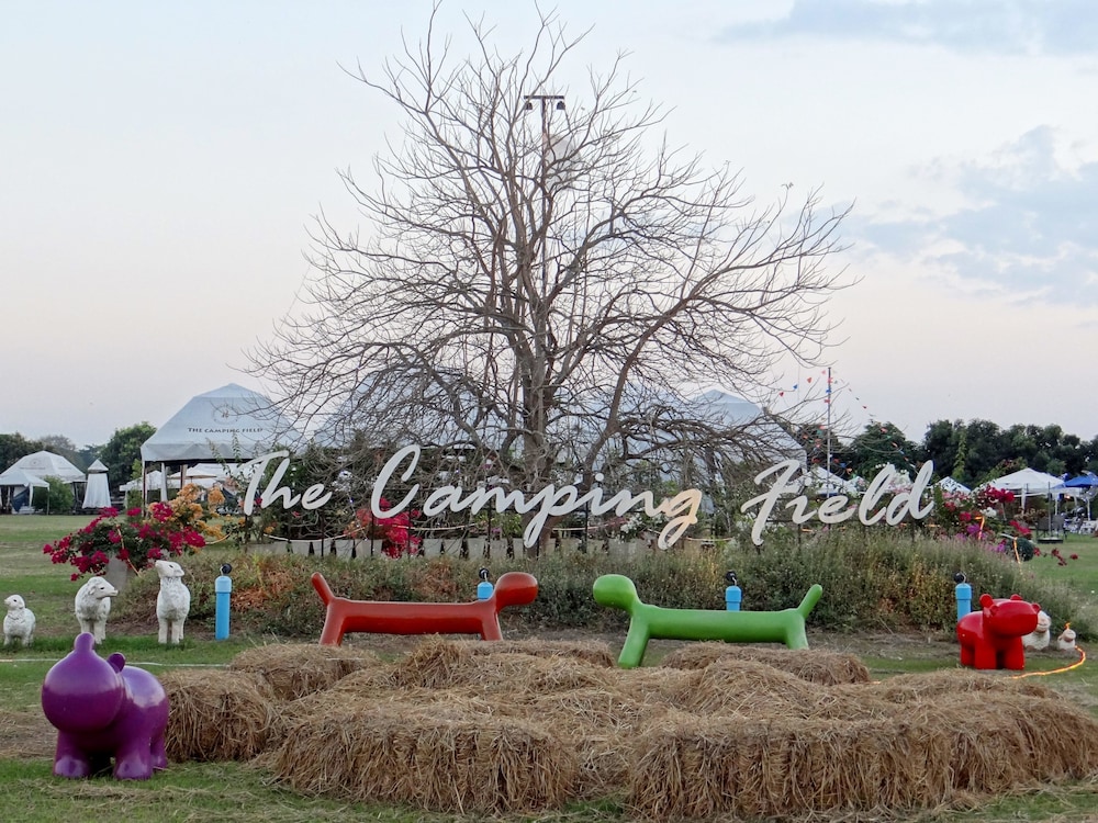 The Camping Field
