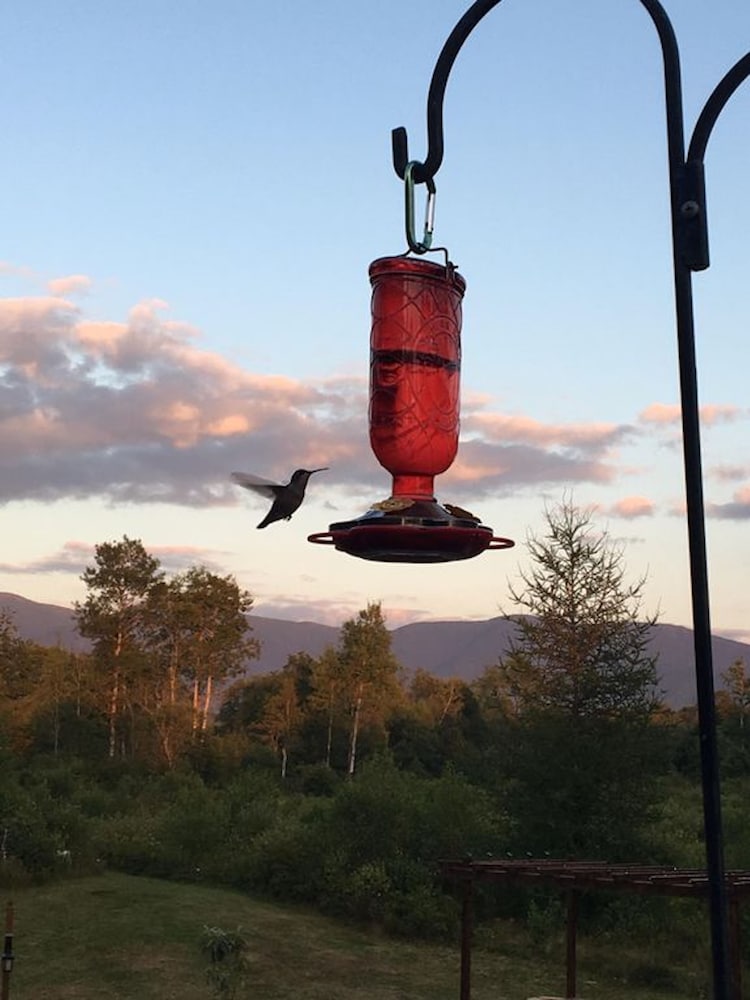 Moose Lodge and Cabins by Bretton Woods Vacations