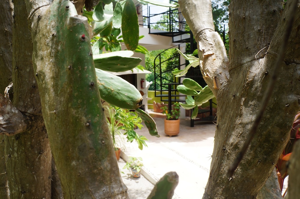 Villa Zena Liza Art Hotel
