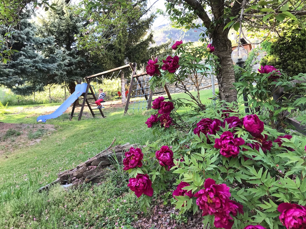 B&B Verger Plein Soleil