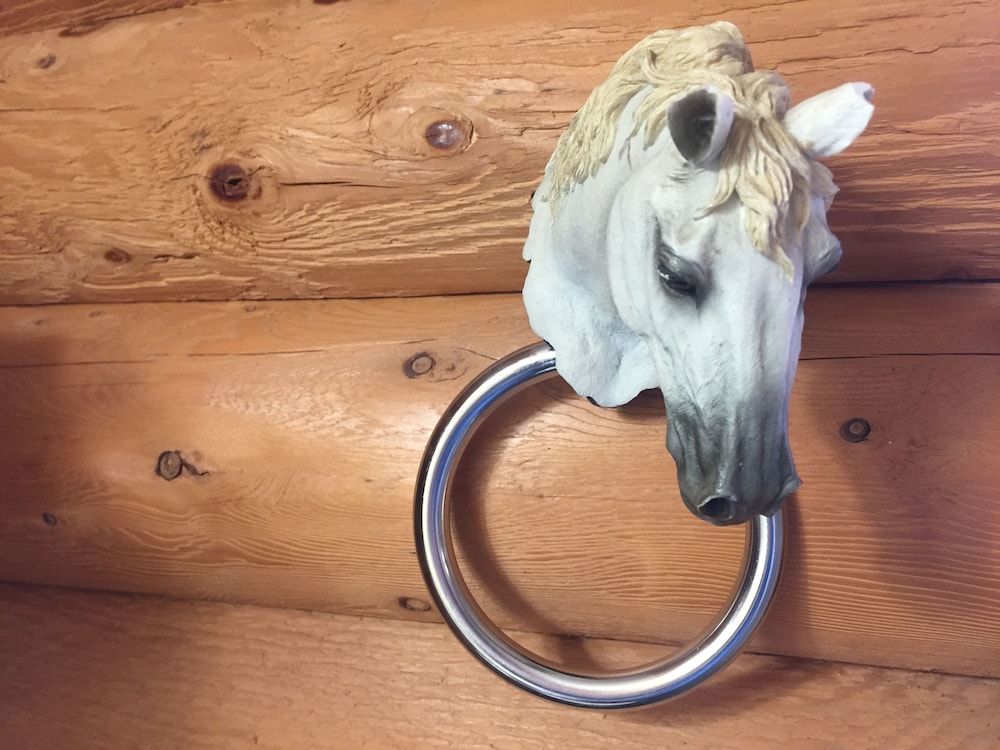 Montana Hill Guest Ranch