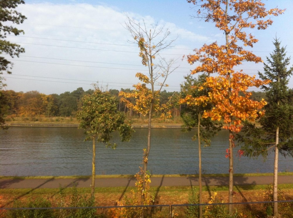 Photo 29