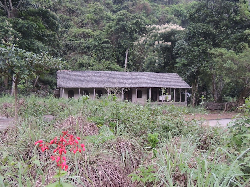 The Ancient House