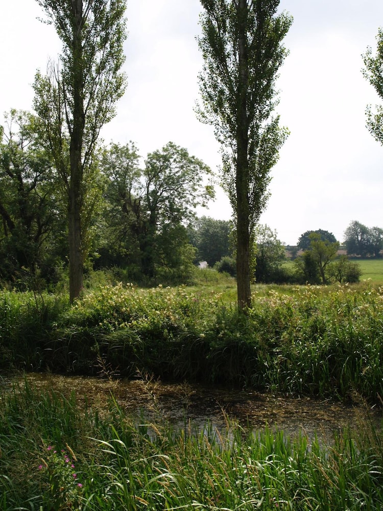 Photo 47