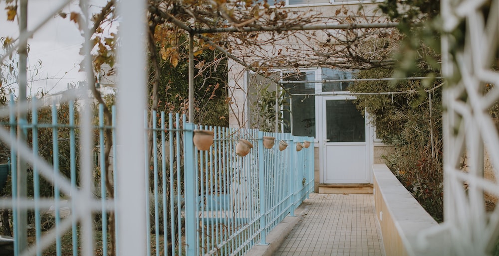 OliveTreeHostel, photo 65